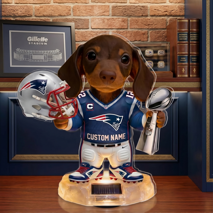 NFL Personalized Dog Solar Acrylic Light 1206 NAK TTT